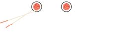 Coco Sushi